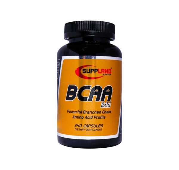 BCAA  عدد240